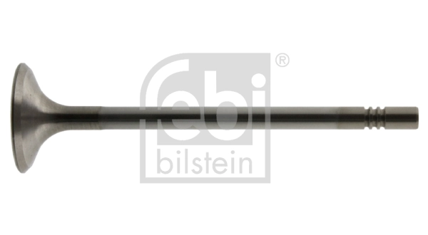 Intake Valve